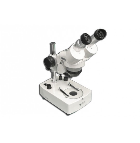 EMT-1 + MA502 + BD-LED Microscope Configuration