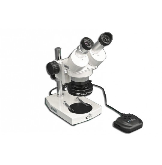 EMT-1 + MA502 + P + MA515 + MA961W/40 (Warm White) Microscope Configuration