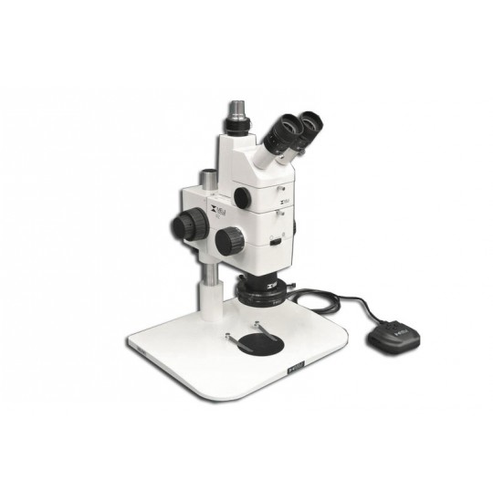 MA748 + MA751 + MA730 (qty#2) + RZ-B + MA742 + RZ-FW + MA961D/40 (Daylight) Microscope Configuration