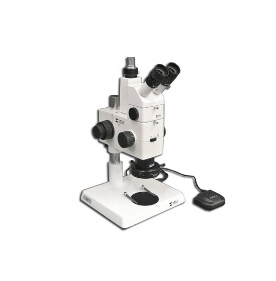 MA748 + MA751 + MA730 (qty#2) + RZ-B + MA742 + RZ-P + MA961W/40 (Warm White) Microscope Configuration