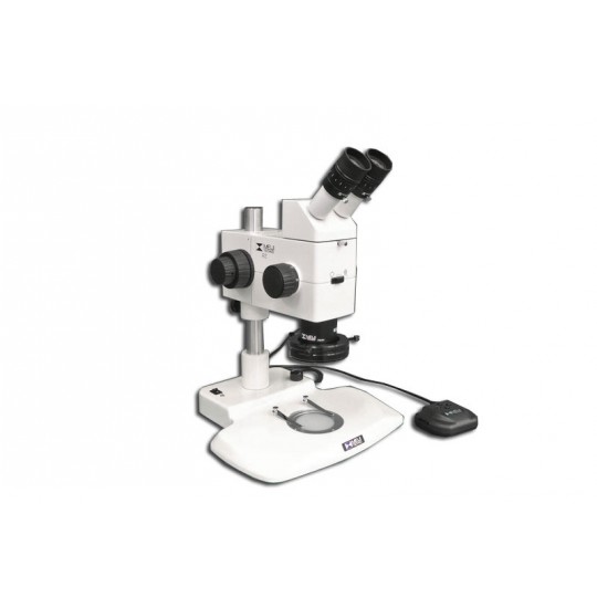 MA748 + MA730 (qty#2) + RZ-B + MA742 + RZT/LED + MA961W/40 (Warm White) Microscope Configuration