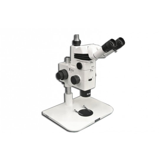 MA749 + MA751 + MA730 (qty#2) + RZ-B + MA742 + RZ-FW Microscope Configuration