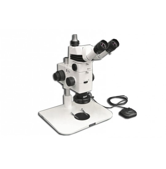 MA749 + MA751 + MA730 (qty#2) + RZ-B + MA742 + RZ-FW + MA961C/40 (Cool White) Microscope Configuration