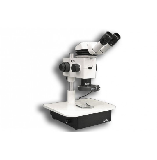 MA749 + MA730 (qty#2) + RZ-B + MA742 + RZBD/LED + FR-LED Microscope Configuration