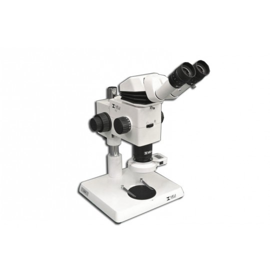 MA749 + MA730 (qty#2) + RZ-B + MA742 + RZ-P + MA308 + MA962 Microscope Configuration