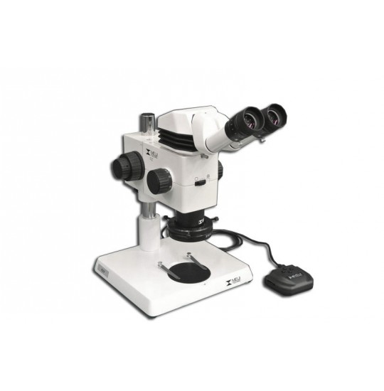 MA749 + MA730 (qty#2) + RZ-B + MA742 + RZ-P + MA961W/40 (Warm White) Microscope Configuration