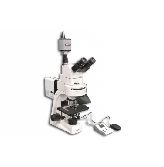 MT6300ECL-HD1000-LITE/0.3 100X-1000X Ergonomic Tilting Trinocular 10° to 50° degrees Epi-Fluorescence Biological Microscope with LED Light Source and HD Camera (HD1000-LITE)
