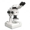 MA749 + MA730 (qty#2) + RZ-B + MA742 + RZT/100 + MA961C/40 Microscope Configuration
