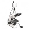 MT5300H-HD1500MET-AF/0.3 Halogen 40X-1000X Advanced Biological Trinocular Brightfield Compound Microscope with HD Auto-focusing Camera (HD1500MET-AF)