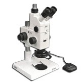 MA748 + MA751 + MA730 (qty#2) + RZ-B + MA742 + RZ-P + MA961W/40 (Warm White) Microscope Configuration