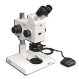 MA748 + MA730 (qty#2) + RZ-B + MA742 + RZ-P + MA961C/40 (Cool White) Microscope Configuration