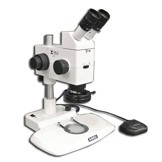 MA748 + MA730 (qty#2) + RZ-B + MA742 + RZT/LED + MA961C/40 (Cool White) Microscope Configuration