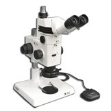 MA749 + MA751 + MA730 (qty#2) + RZ-B + MA742+ RZ-P + MA961W/40 (Warm White) Microscope Configuration
