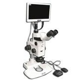 MA749 + MA751 + MA730 (qty#2) + RZ-B + MA742 + RZT/LED + MA961W/40 (Warm White) + MA151/35/03 + HD1000-LITE-M Microscope Configuration