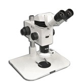 MA749 + MA730 (qty#2) + RZ-B + MA742 + RZ-FW + MA308 + MA962 Microscope Configuration