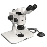 MA749 + MA730 (qty#2) + RZ-B + MA742 + RZ-FW + MA961C/40 (Cool White) Microscope Configuration