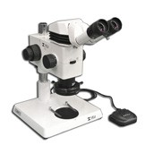 MA749 + MA730 (qty#2) + RZ-B + MA742 + RZ-P + MA961C/40 (Cool White) Microscope Configuration