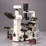 TC-5300/SIS-4M Binocular Inverted Brightfield/Phase Contrast Micromanipulator Injection Microscope System