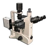 TC-5600CL Trinocular Inverted LED/Halogen Epi-Fluorescence Biological Microscope