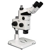 MA749 + MA751 + MA730 (qty#2) + RZ-B + MA742 + RZ-P Microscope Configuration