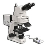 MT6300ECW Ergonomic Tilting Trinocular 10° to 50° degrees Epi-Fluorescence Biological Microscope with LED Light Source