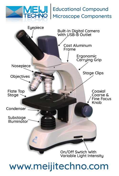 Eductional Compound Microscope