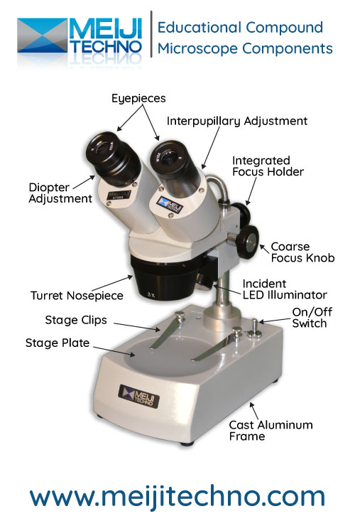 Eductional Stereo Microscope