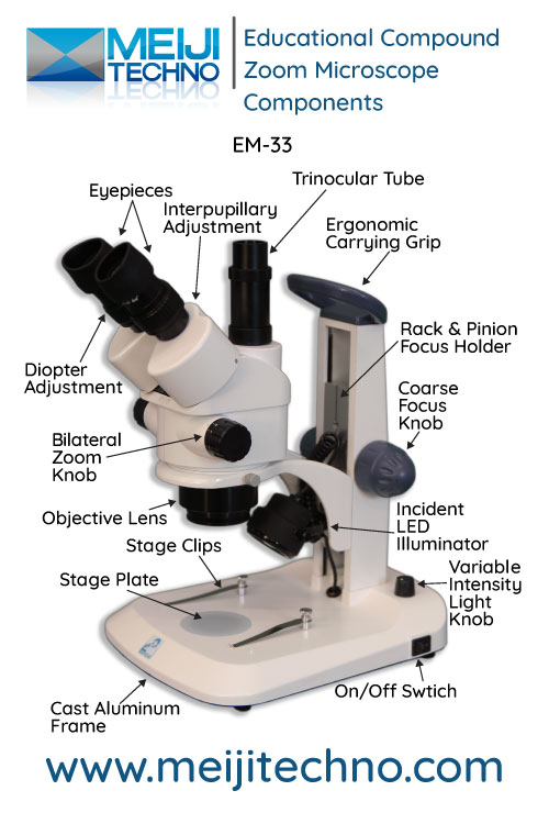 Educational Compound Zoom Microscope