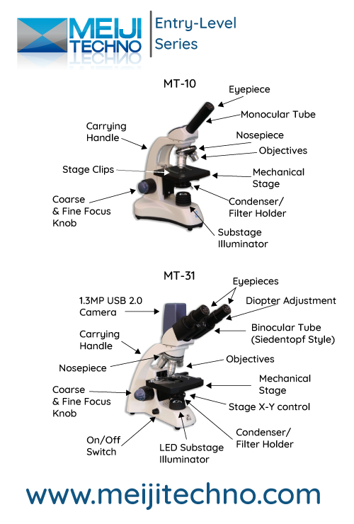 Entry Level Microscope