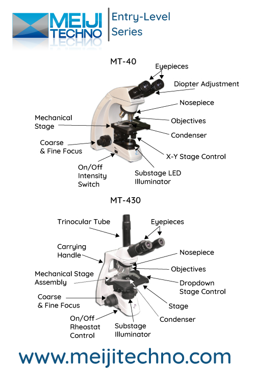 Entry Level Microscope