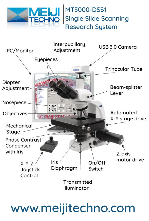 MT5000-DSS1 Single-Slide Scanning Research Microscope Terminology